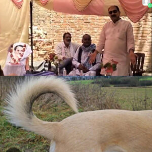 पूर्व विधायक का विवादित बयान:एक जाति को कुत्ते की पूंछ से की तुलना