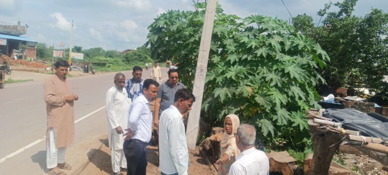 नगर पंचायत अध्यक्ष ने निरीक्षण कर जलभराव व सफाई समस्या का कराया समाधान